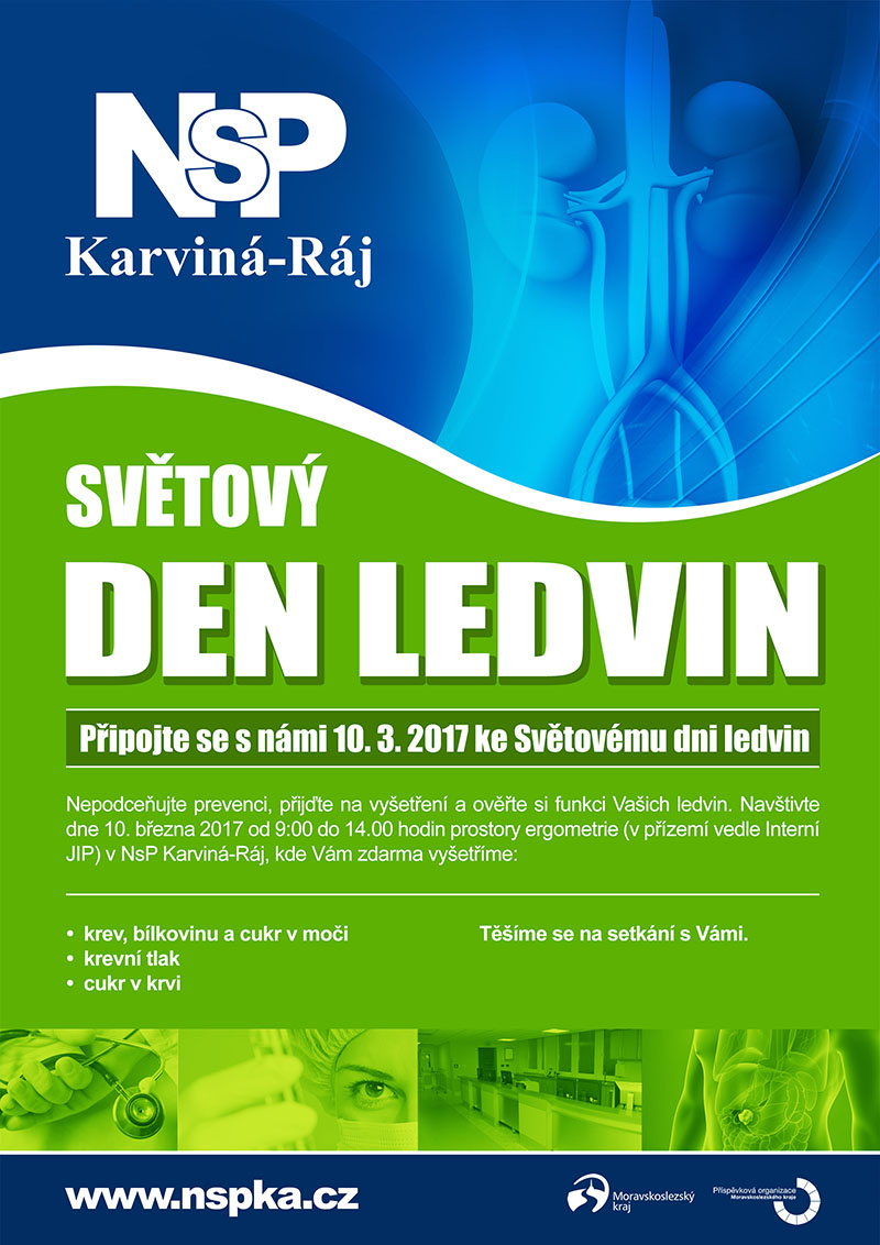 20170209 dooffy plakat nspka den ledvin A4 karvina small