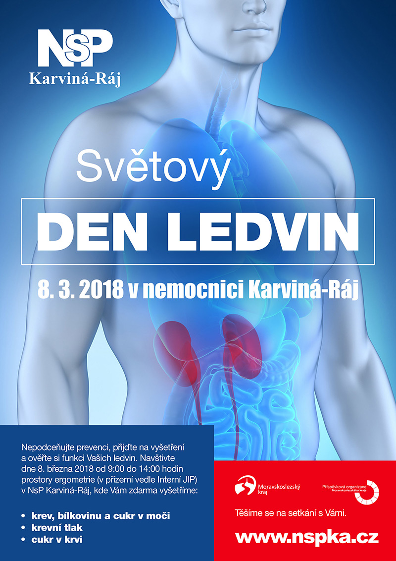 20180225 dooffy plakat nspka den ledvin A3 karvina small